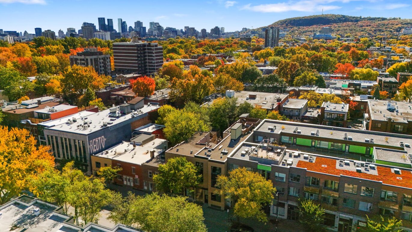 4302 Av. Papineau #202 Montréal (Le Plateau-Mont-Royal) (Montréal)