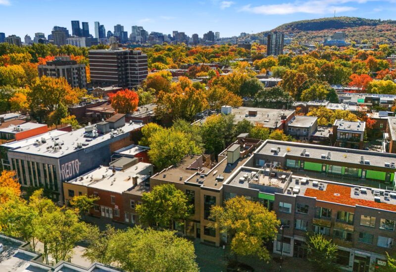 4302 Av. Papineau #202 Montréal (Le Plateau-Mont-Royal) (Montréal)
