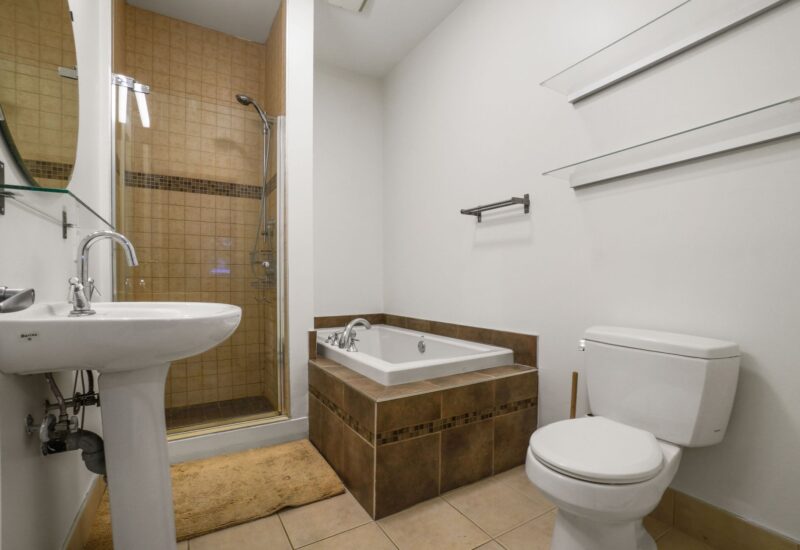 4302 Av. Papineau #202 Montréal (Le Plateau-Mont-Royal) (Montréal)