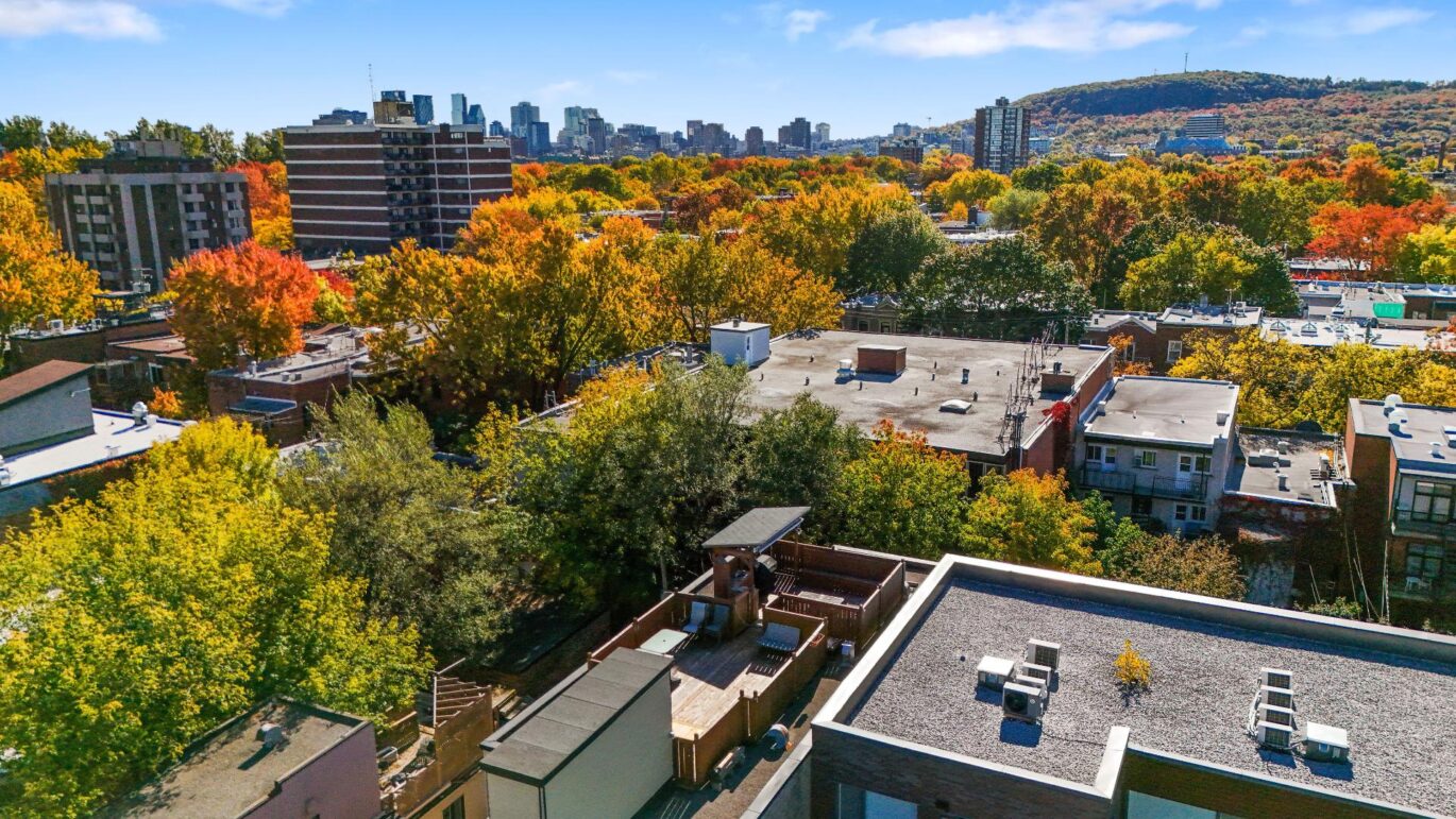 4302 Av. Papineau #202 Montréal (Le Plateau-Mont-Royal) (Montréal)
