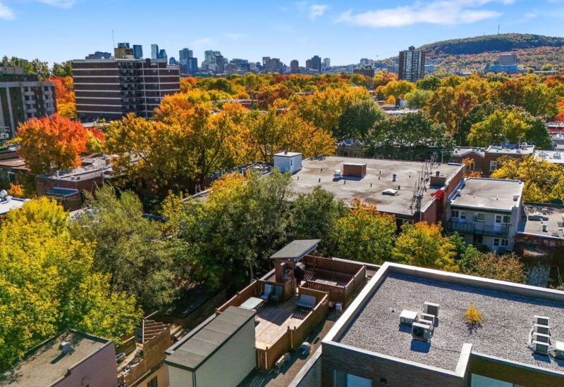 4302 Av. Papineau #202 Montréal (Le Plateau-Mont-Royal) (Montréal)