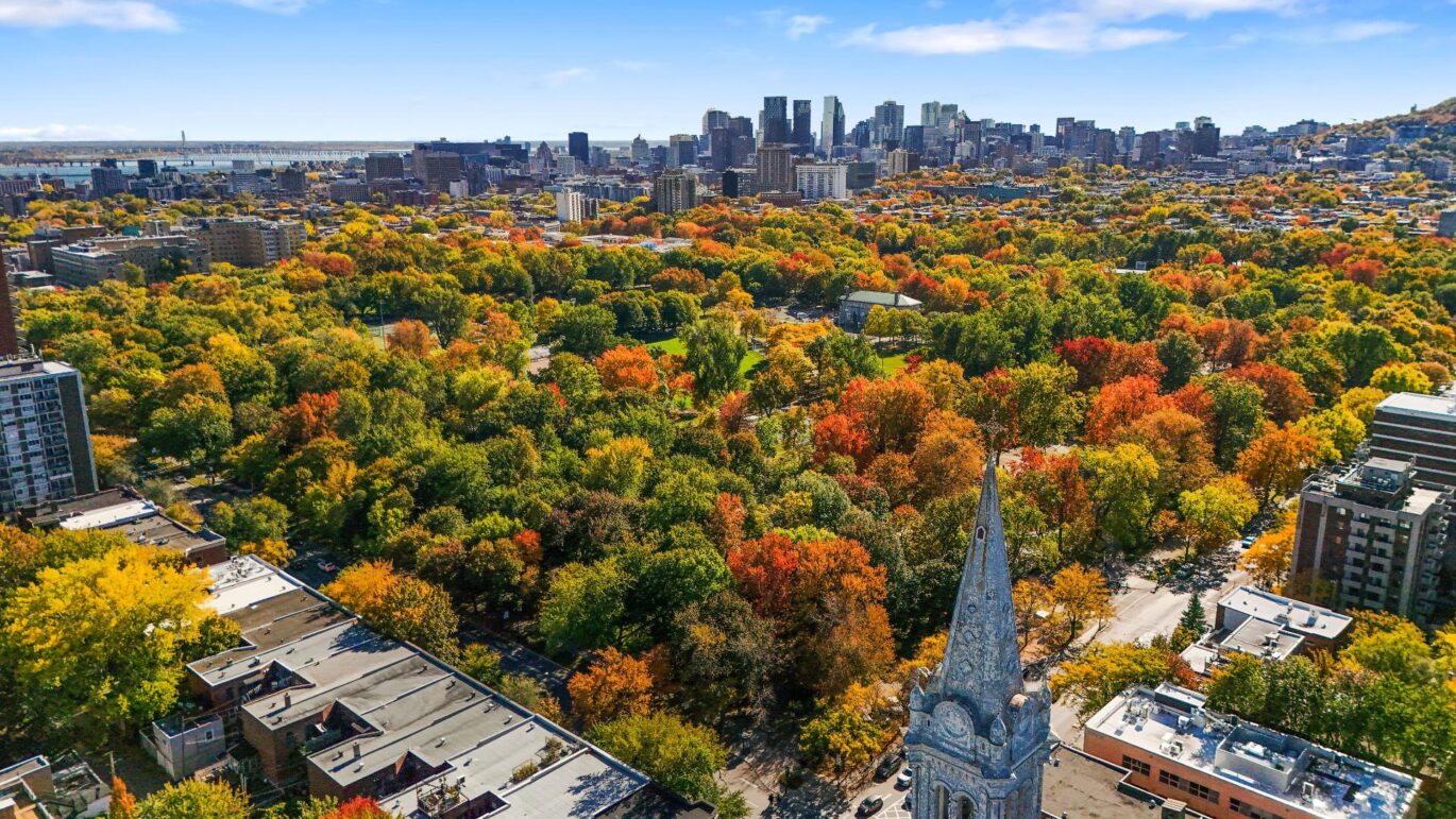 4302 Av. Papineau #202 Montréal (Le Plateau-Mont-Royal) (Montréal)