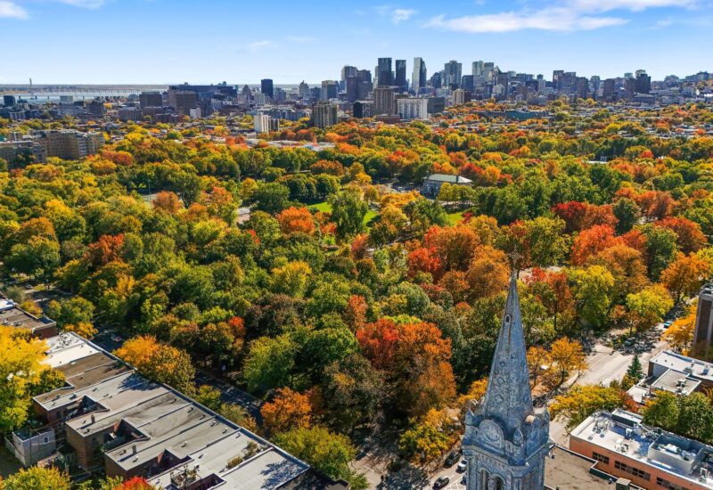 4302 Av. Papineau #202 Montréal (Le Plateau-Mont-Royal) (Montréal)
