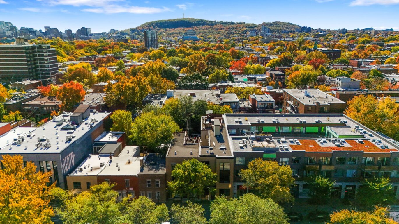 4302 Av. Papineau #202 Montréal (Le Plateau-Mont-Royal) (Montréal)