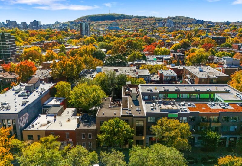 4302 Av. Papineau #202 Montréal (Le Plateau-Mont-Royal) (Montréal)