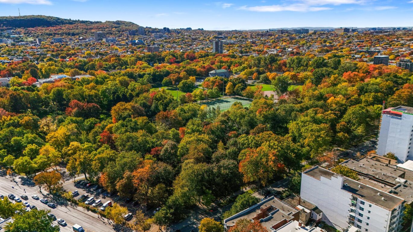 4302 Av. Papineau #202 Montréal (Le Plateau-Mont-Royal) (Montréal)