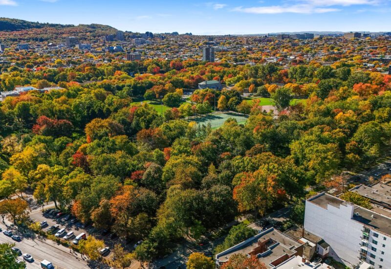 4302 Av. Papineau #202 Montréal (Le Plateau-Mont-Royal) (Montréal)