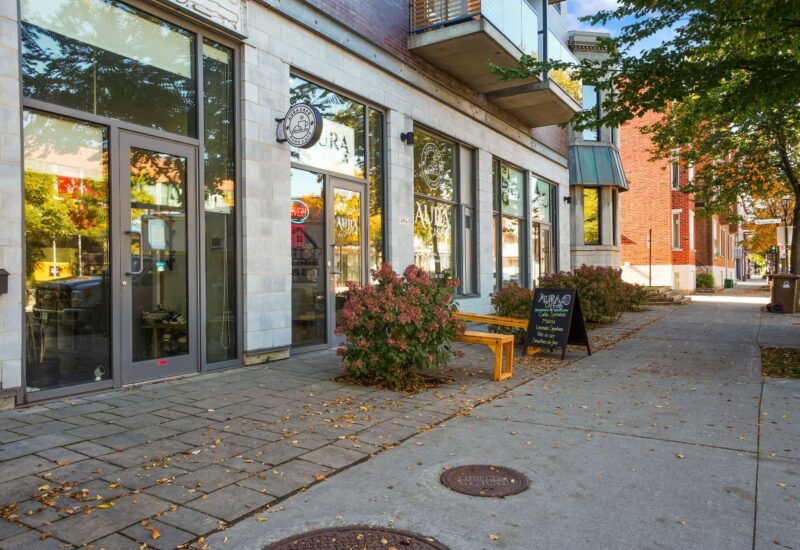 4302 Av. Papineau #202 Montréal (Le Plateau-Mont-Royal) (Montréal)