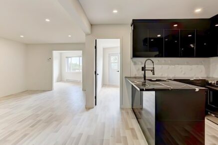 5695 Rue St-Jacques #435 Montréal (Côte-des-Neiges/Notre-Dame-de-Grâce) (Montréal)