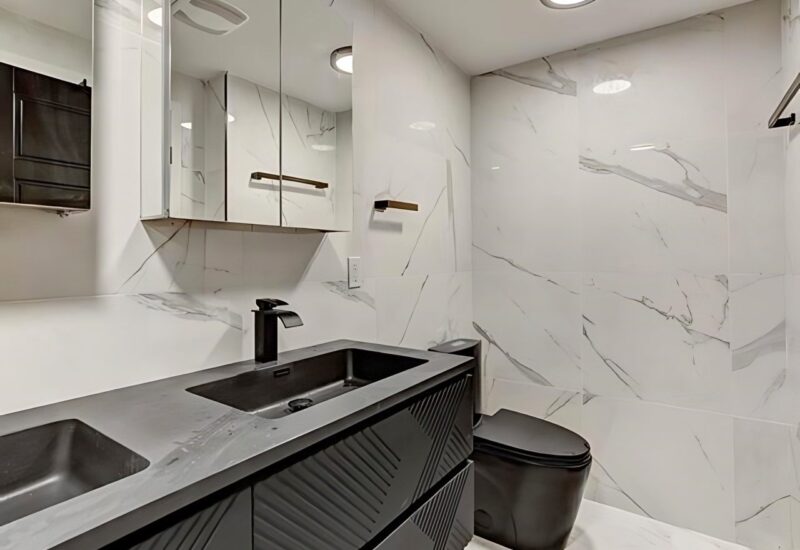 5695 Rue St-Jacques #435 Montréal (Côte-des-Neiges/Notre-Dame-de-Grâce) (Montréal)