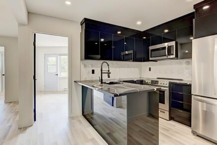 5695 Rue St-Jacques #435 Montréal (Côte-des-Neiges/Notre-Dame-de-Grâce) (Montréal)