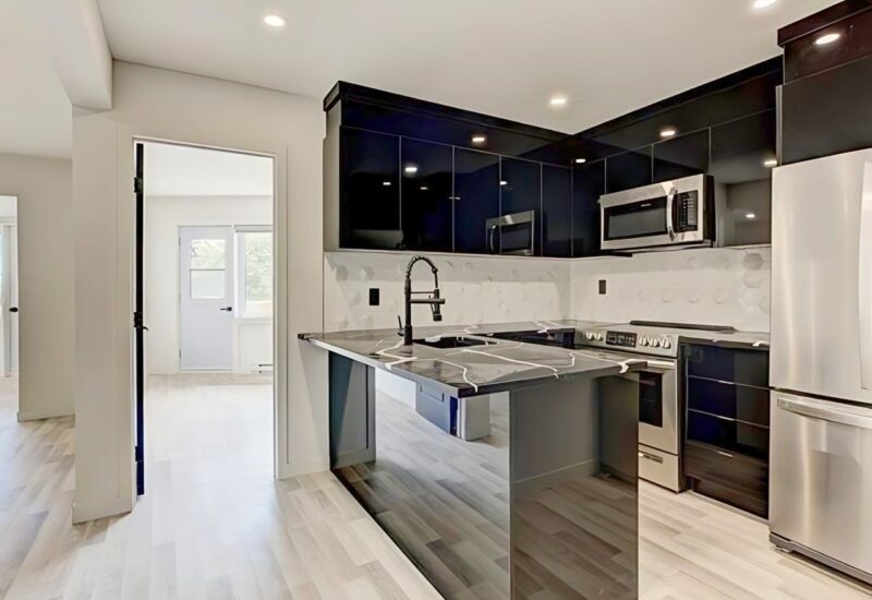 5695 Rue St-Jacques #435 Montréal (Côte-des-Neiges/Notre-Dame-de-Grâce) (Montréal)