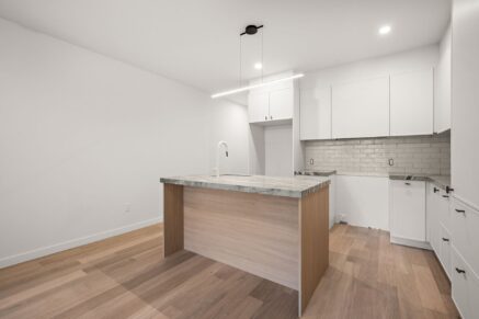 4717 Av. Papineau Montréal (Le Plateau-Mont-Royal) (Montréal)