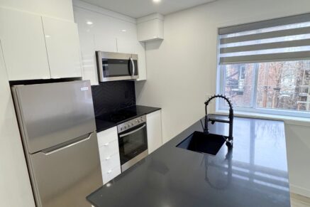 5695 Rue St-Jacques #319 Montréal (Côte-des-Neiges/Notre-Dame-de-Grâce) (Montréal)