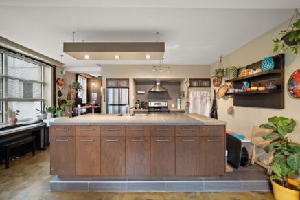 2354 Av. Letourneux #240 Montréal (Mercier/Hochelaga-Maisonneuve) (Montréal)