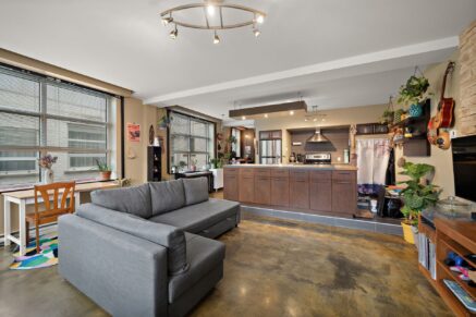 2354 Av. Letourneux #240 Montréal (Mercier/Hochelaga-Maisonneuve) (Montréal)