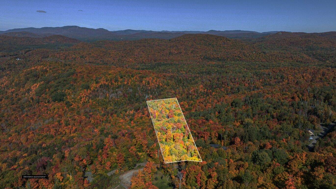Ch. des Gros-Becs Mont-Blanc (Laurentides)
