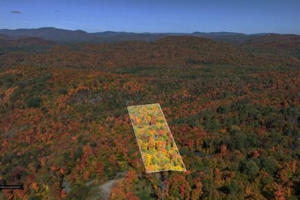 Ch. des Gros-Becs Mont-Blanc (Laurentides)