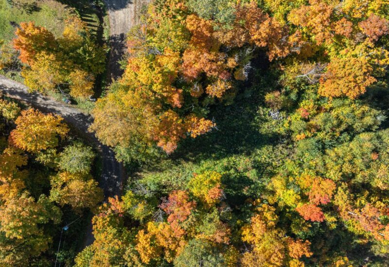 Ch. des Gros-Becs Mont-Blanc (Laurentides)
