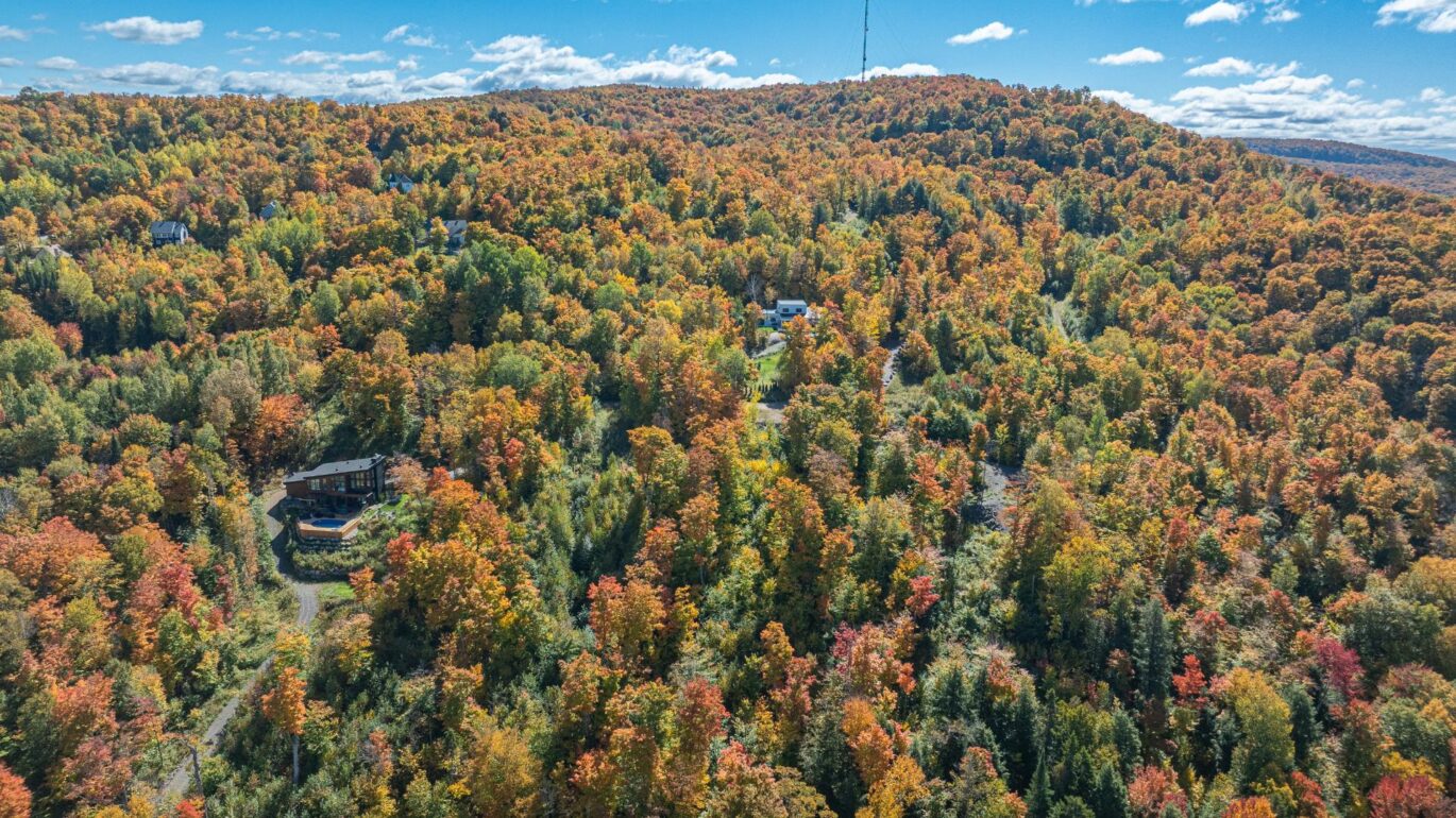 Ch. des Gros-Becs Mont-Blanc (Laurentides)