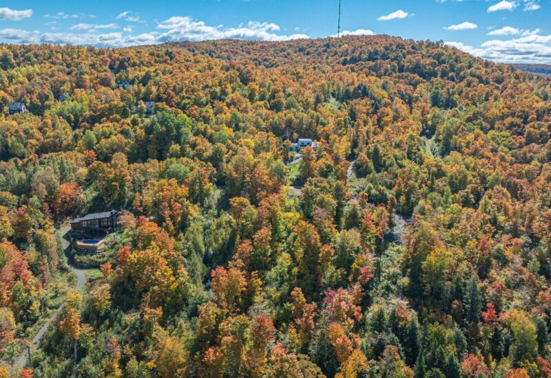 Ch. des Gros-Becs Mont-Blanc (Laurentides)