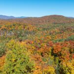 Ch. des Gros-Becs Mont-Blanc (Laurentides)