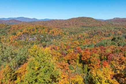 Ch. des Gros-Becs Mont-Blanc (Laurentides)