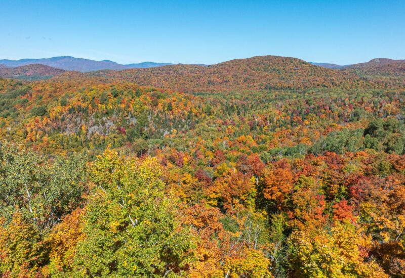 Ch. des Gros-Becs Mont-Blanc (Laurentides)