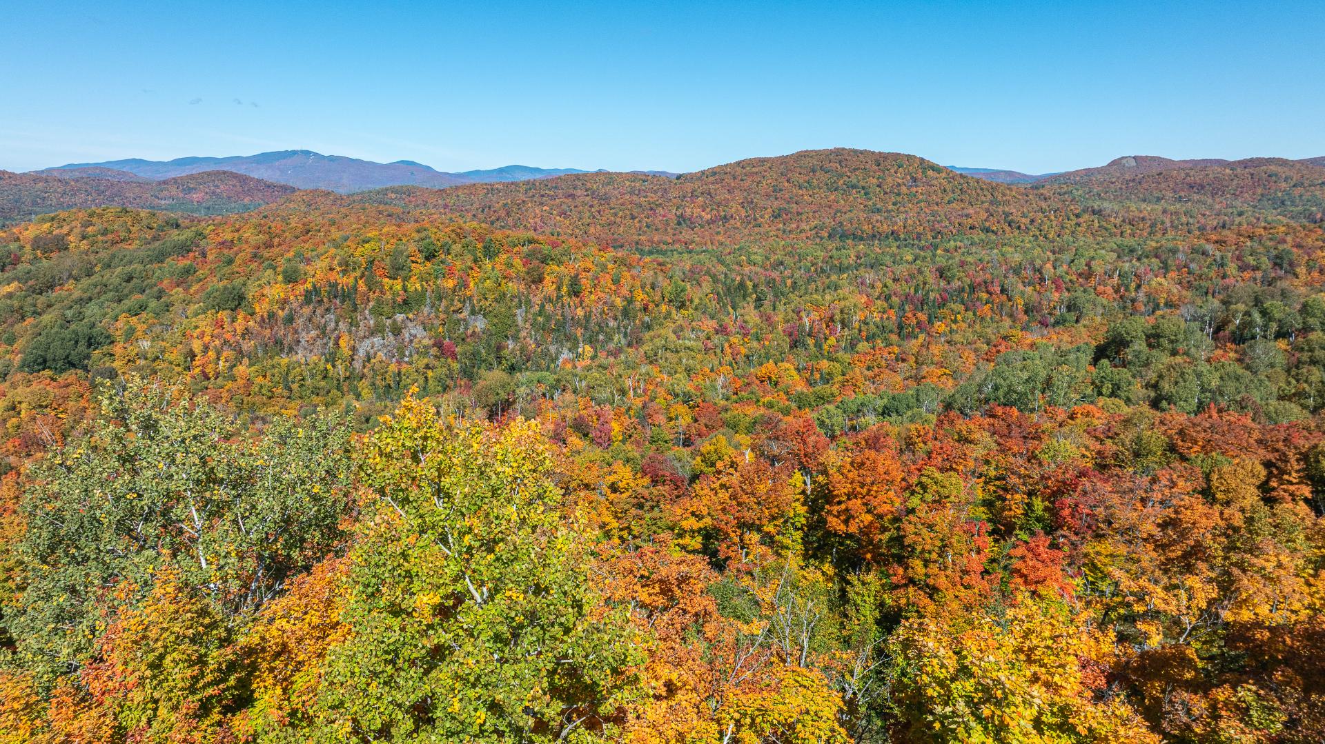 Ch. des Gros-Becs Mont-Blanc (Laurentides) — photo 1