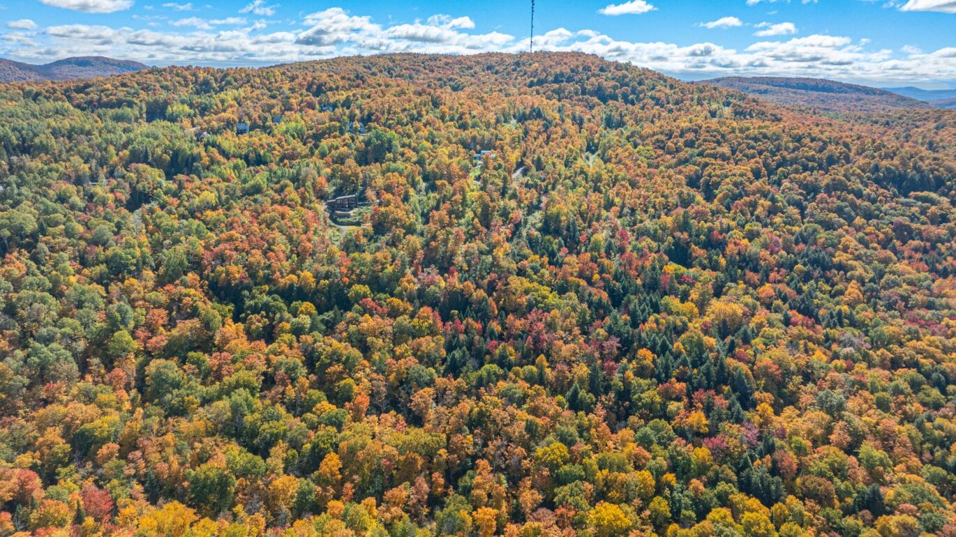 Ch. des Gros-Becs Mont-Blanc (Laurentides)