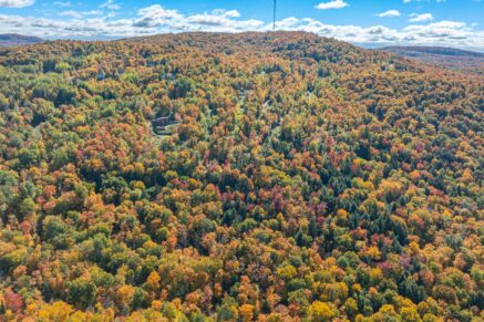 Ch. des Gros-Becs Mont-Blanc (Laurentides)