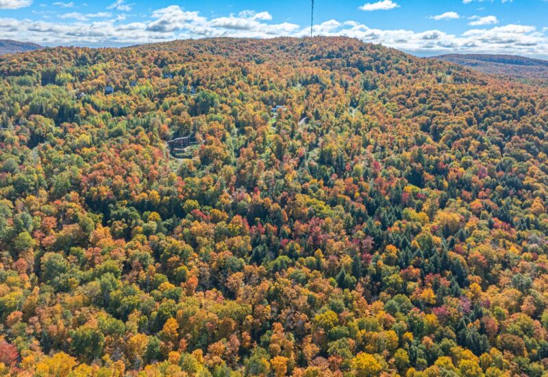 Ch. des Gros-Becs Mont-Blanc (Laurentides)