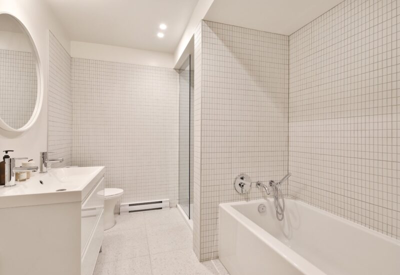 4428 Rue D’Iberville Montréal (Le Plateau-Mont-Royal) (Montréal)